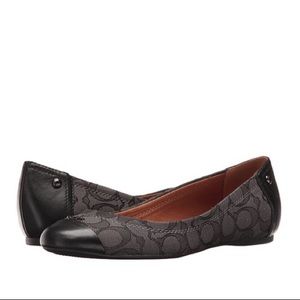 New! COACH Chelsea Outline Flat (Black) 9.5